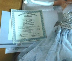 porcelain pergola bride coa
